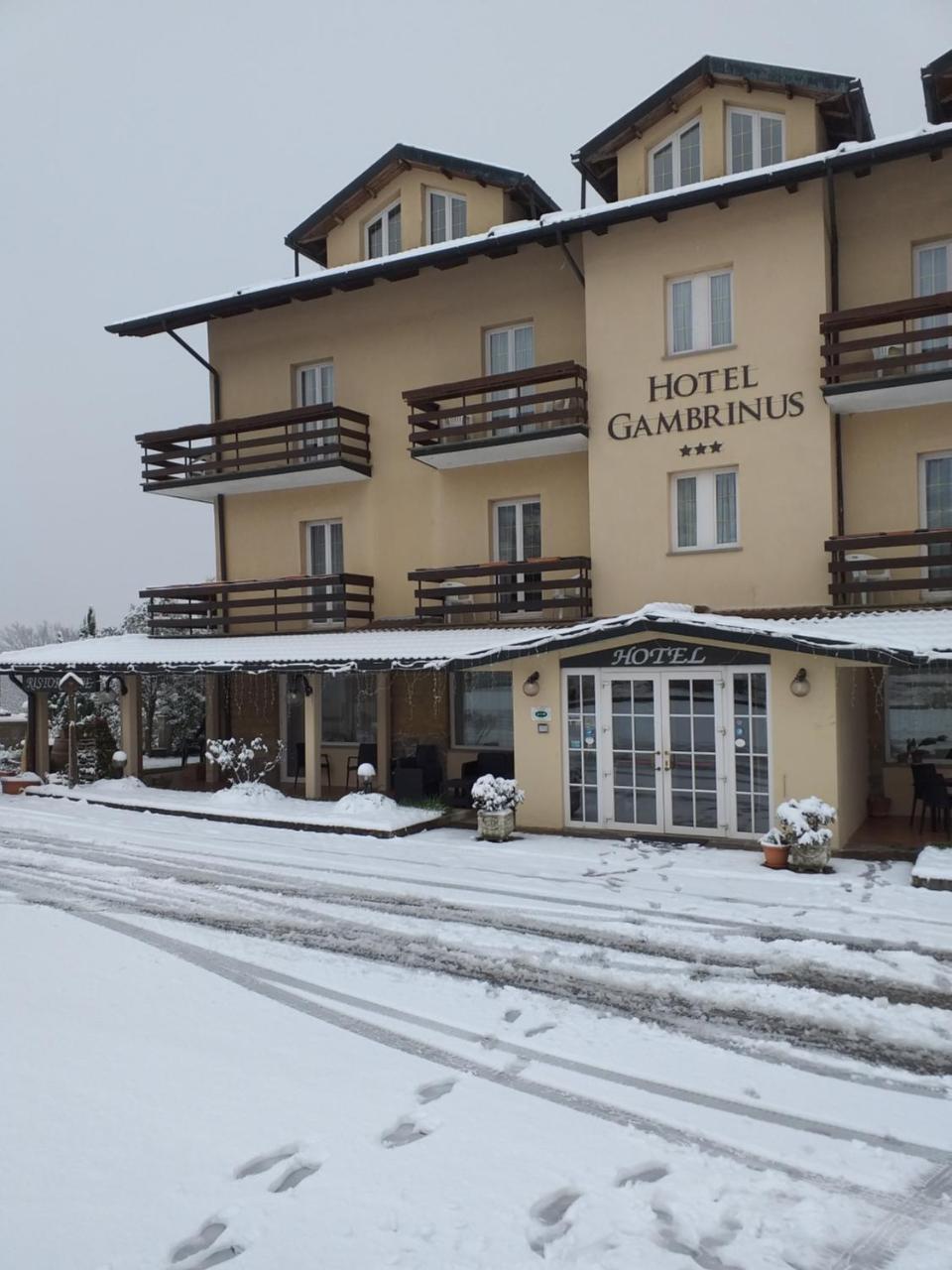 Hotel Gambrinus Abbadia San Salvator Extérieur photo