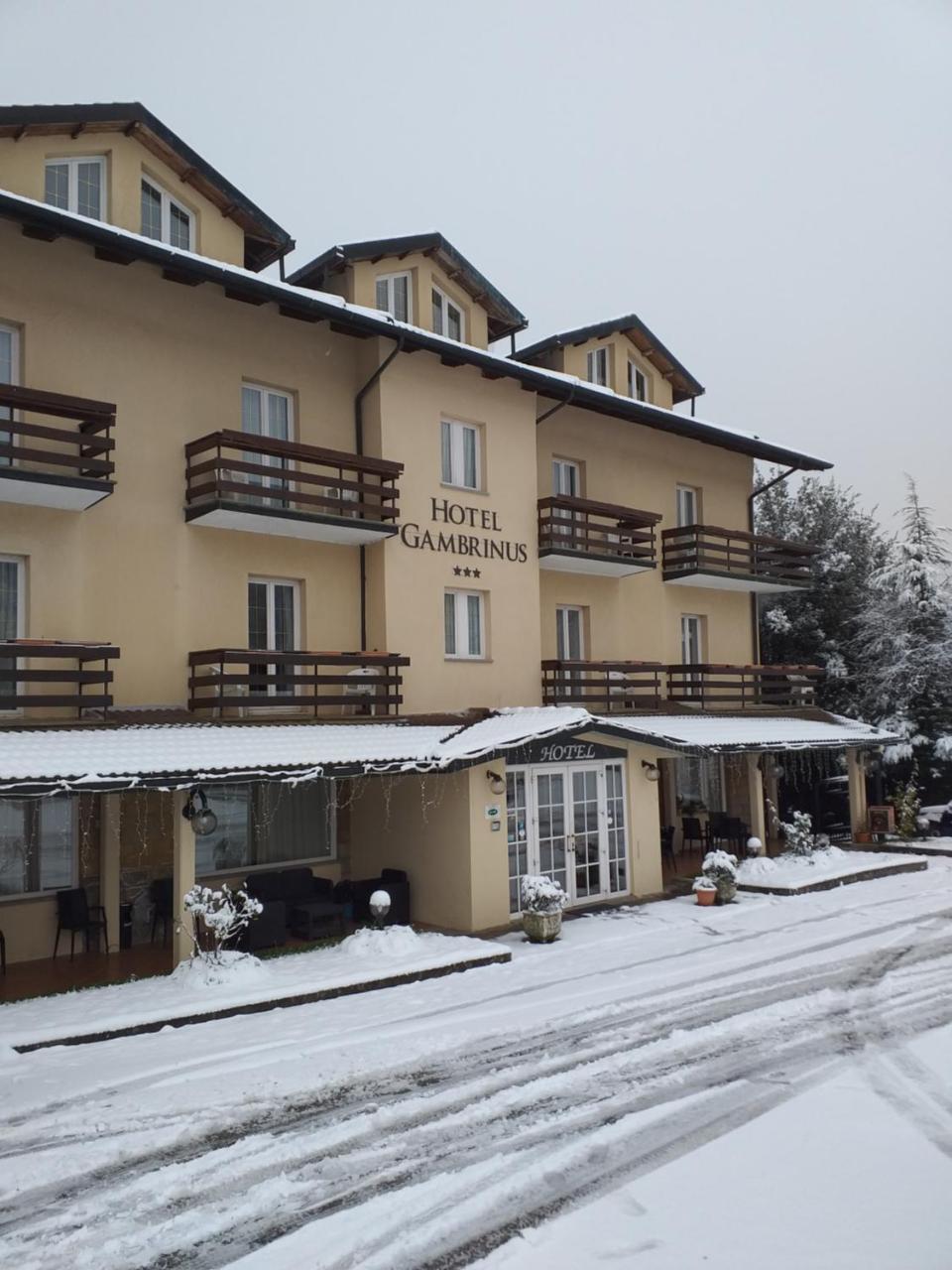 Hotel Gambrinus Abbadia San Salvator Extérieur photo